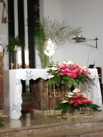 118516733_162176048822200_2872596207227133110_o