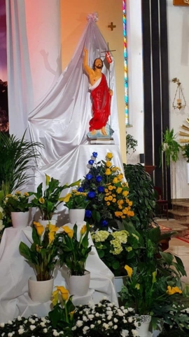 278569425_514812063558595_2555169970898982508_n