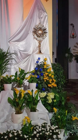 278576854_514509873588814_4692876831404382456_n