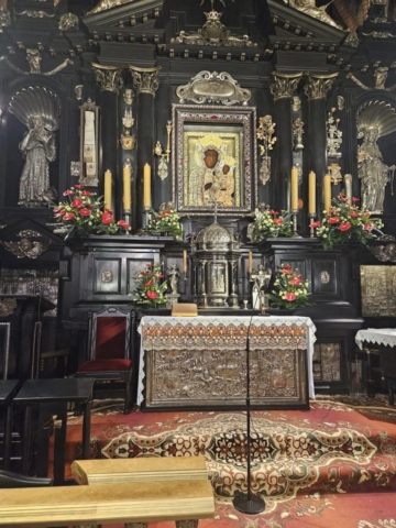 382979798_331141692626841_8060136852132752912_n