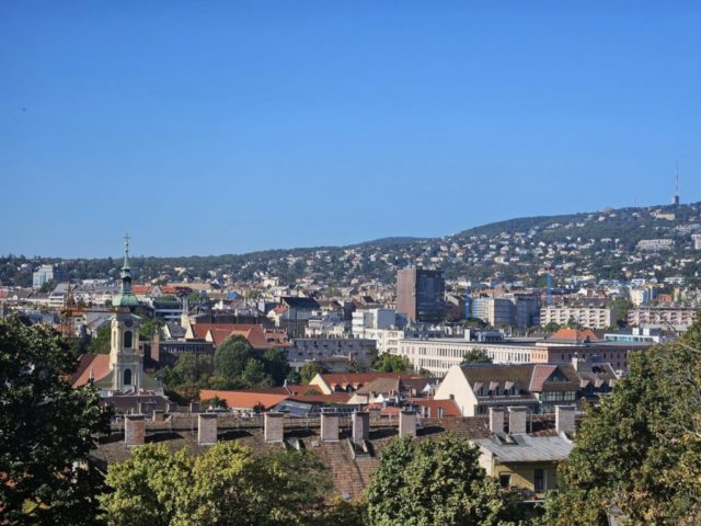 549310256_798182469256092_8241179407185513405_n